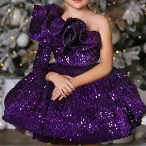 Purple sequin Dress